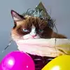 cindycarpenter855 - @cindycarpenter855 - TikTok