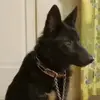 Cindy Arledge - @cindy.arledge - TikTok