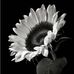 Cindy Carty - Facebook