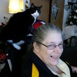 Cindy Casale - @wheelchairrebel - Instagram