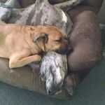 Cindy Casey - @ccasey1122 - Instagram