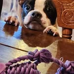 Cindy Casey - @cindycasey1480 - Instagram