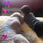 Cindy Johnsen Casey - @cindyjohnsencasey - Instagram