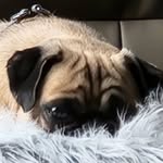 Cindy Cato - @bluebaryangel - Instagram