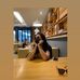 Cindy Cato - Facebook