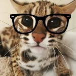 Cindy cato - @diwiki._ - Instagram
