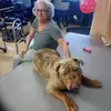 Cindi Cavanaugh - @cindi.cavanaugh - TikTok