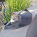 Cindy Cavanaugh - Facebook