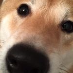 Cindy Cavanaugh - @cjcav1 - Instagram