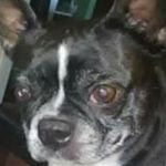 Cindy Cavanaugh - @cindy.cavanaugh.666 - Instagram