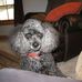 Cindy Cavender - Facebook