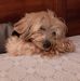 Cyndi Cavender Hayes - Facebook