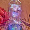 Cindy Chandler - @cindy.chandler.7 - TikTok
