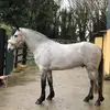 cindychandler225 - @cindychandler225 - TikTok