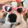 Snazzypants - @cindychandler927 - TikTok