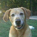 Cindy Chalkley Chaplin - @cindychaplin - Instagram