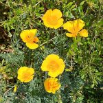 Cindy Chaplin - @cindy_chaplin - Instagram