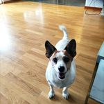 Cindy Christensen - @olyckan_o_livet_tillbaka - Instagram