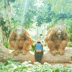 Cindy  Chua - @cindy__chua_ - Instagram