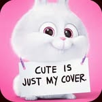 Cindy Chua - @cindy_chua019 - Instagram