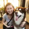 Cindy Chua - @cindychua79 - TikTok