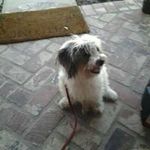 Cindy Cisneros - @cindycisneros316 - Instagram