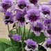 Cindy Clapp - Facebook