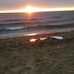 Cindy Clapp - Facebook