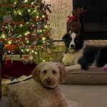 Cindy Clapp - @c.clapp0930 - Instagram