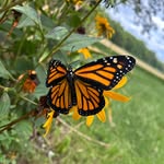 Cindy Freeman Clapp - @cindyfreemanclapp - Instagram
