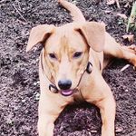 Cindy Clement - @cindy_ma_bichette - Instagram