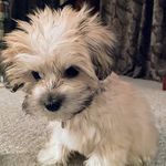 Cindy Cloud - @cindyclouddd - Instagram