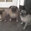 cindycloud7 - @cindycloud7 - TikTok