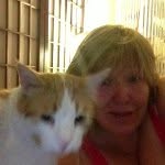 Cindy Coffman - @cincin1960 - Instagram
