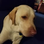 Cindy Coffman - @cindy.coffman.338 - Instagram