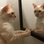 Cindy Mixon Bailey Coffman - @cindymixoncoffman - Instagram