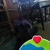 Cindy Colman - Facebook