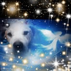Cindy Constant - Facebook