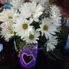 Cindy Cooke - @cindy.cooke8 - TikTok