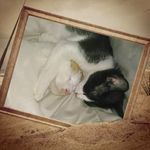 Cindy Corbin - @cindy.corbin.731 - Instagram