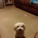 Cindy Corbin - Facebook