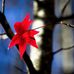 Cindy Cormack - Facebook