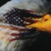 Cindy Crews - Facebook