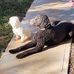 Cindy Crews - Facebook