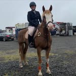Cindy Crossman - @cindycrossman - Instagram