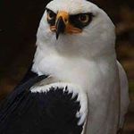 Cindy Crowe - @crowe8301 - Instagram
