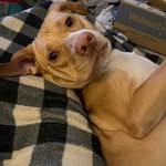 Cindy Crump Reynolds - @reynoldscindycrump - Instagram