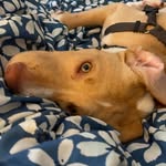 Cindy Crump Reynolds - @cindycrumpreynolds - Instagram