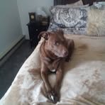 Cindy Cryer - Facebook