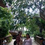 Cindy Cuevas - Facebook